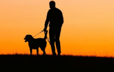 প্রাণী হত্যায় ইসলাম কী বলে?