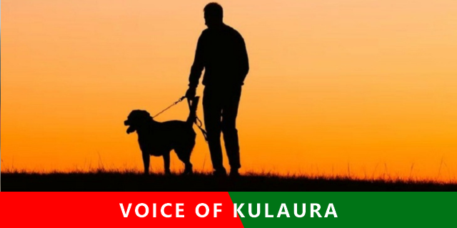 প্রাণী হত্যায় ইসলাম কী বলে?